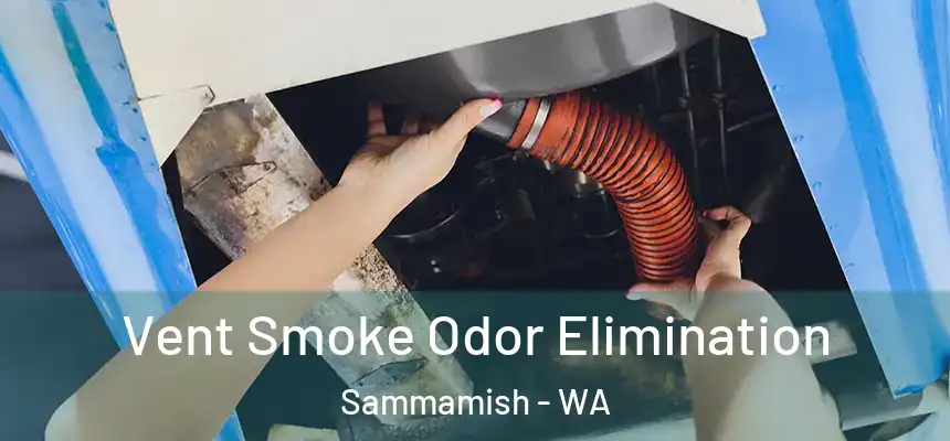 Vent Smoke Odor Elimination Sammamish - WA