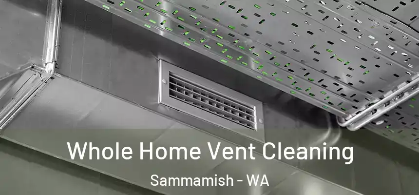 Whole Home Vent Cleaning Sammamish - WA